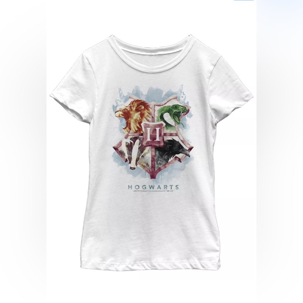 Harry Potter Girl's The Deathly Hallows Mystic Hogwarts Houses Size M